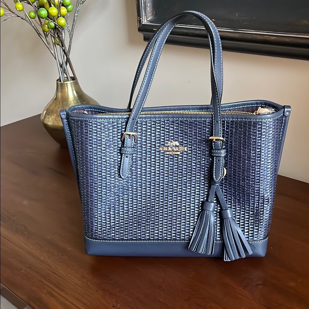 Coach Mollie Bag 25